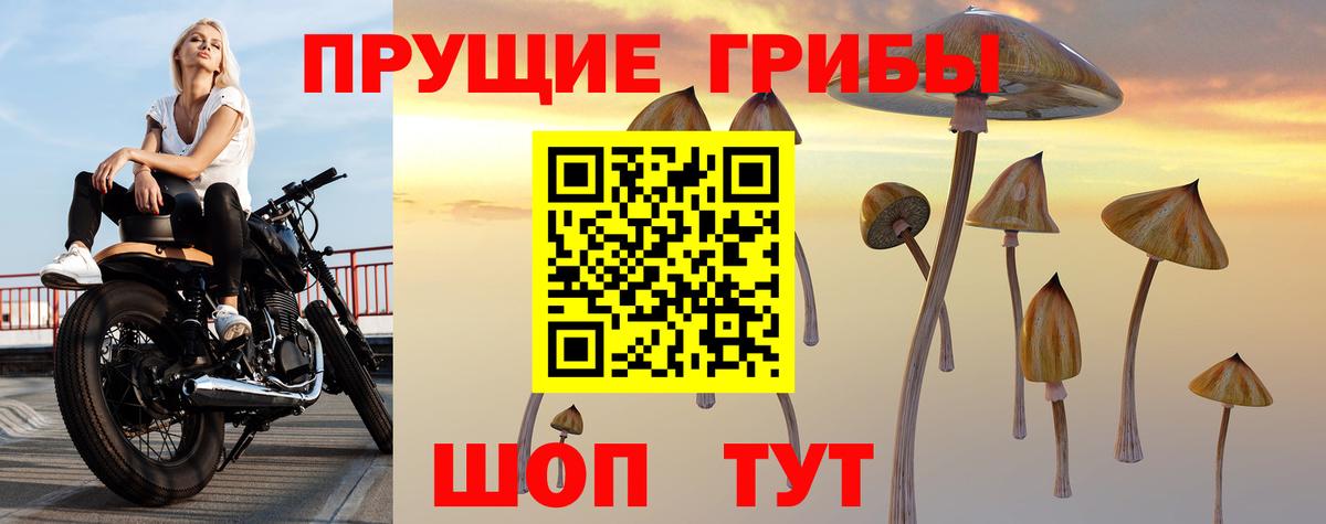 Сатка  Псилоцибиновые грибы ЛСД  Вход с VPN 