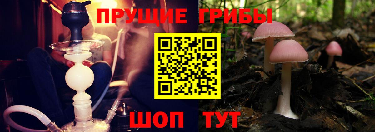 Галлюциногенные грибы Magic Shrooms Сатка